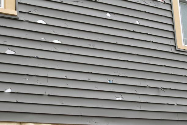 Best Residential Vinyl Siding Installation  in St Johns, AZ