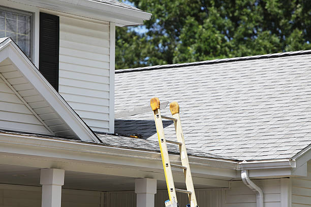 Best Siding Painting and Refinishing  in St Johns, AZ