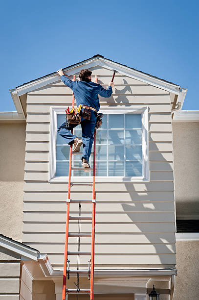 Best Siding Removal and Disposal  in St Johns, AZ