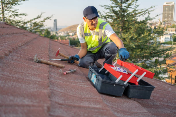 Best Stone Veneer Siding  in St Johns, AZ