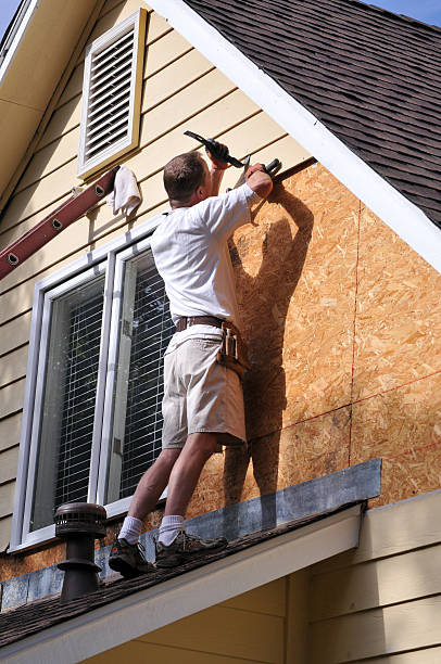 Best Siding for Commercial Buildings  in St Johns, AZ